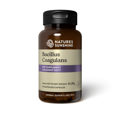 Bacillus Coagulans Natures Sunshine 90 kapsułek